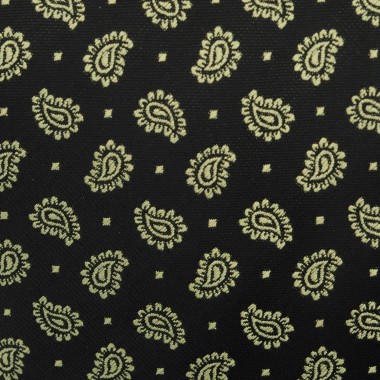 Cravate Classique Homme. Noir à motifs Paisley 2