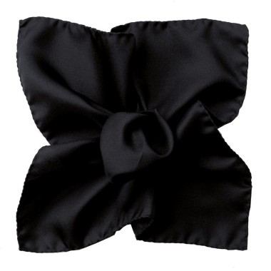 Pochette de costume Noir uni en Soie Twill
