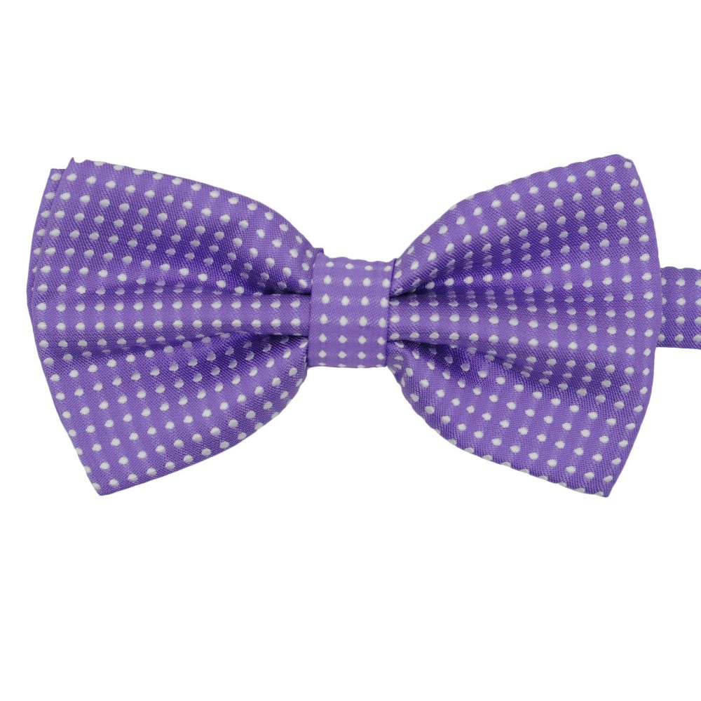 Noeud papillon Homme Violet à fins pois