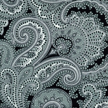 Pochette de costume homme. Noir à grands Paisley 2
