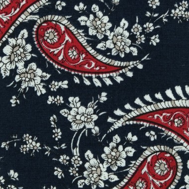 Ensemble Noeud papillon et Pochette assortie, Homme. Bleu Marine à Paisley 2